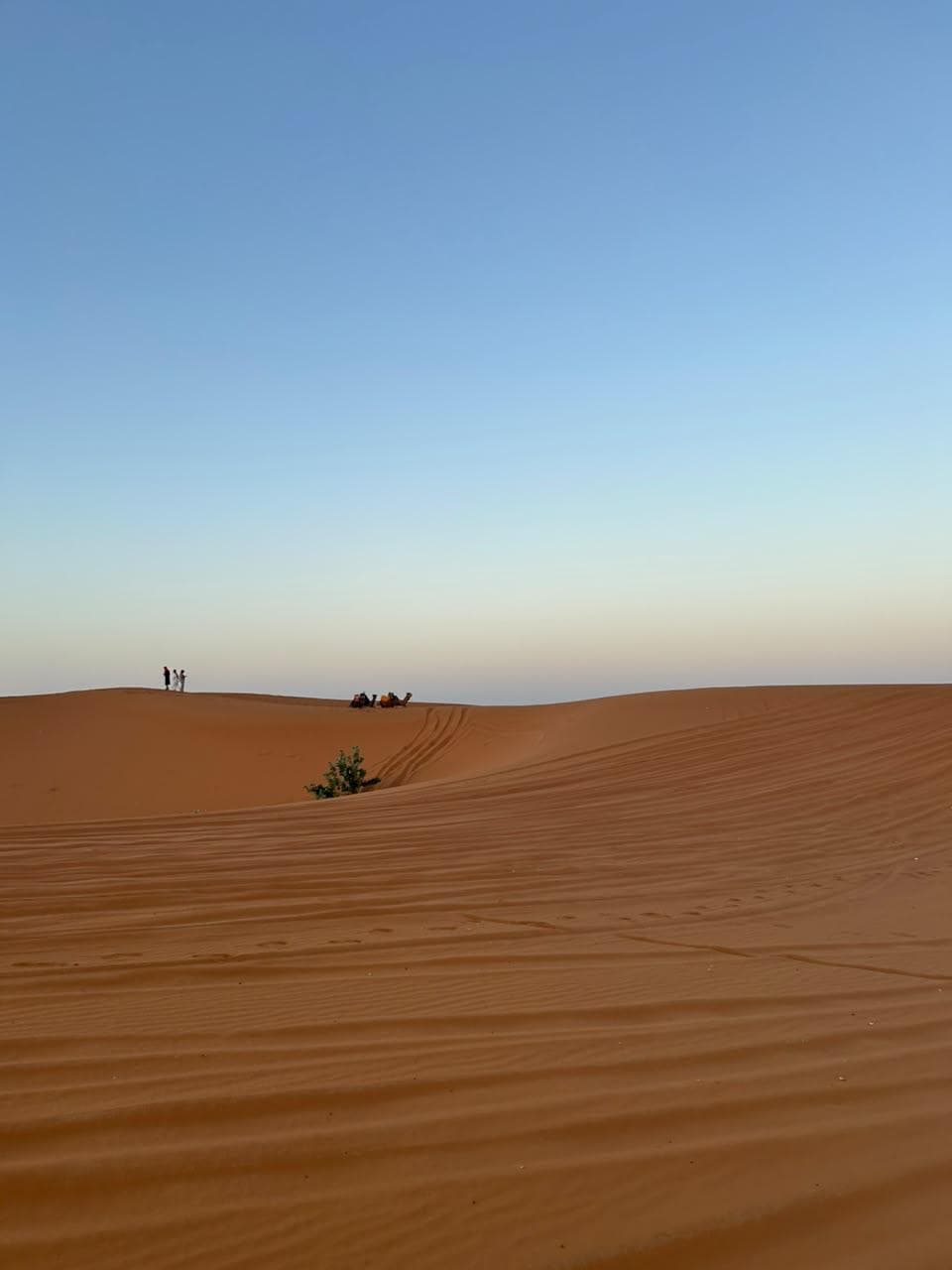 4x4 driving across the Sahara dunes