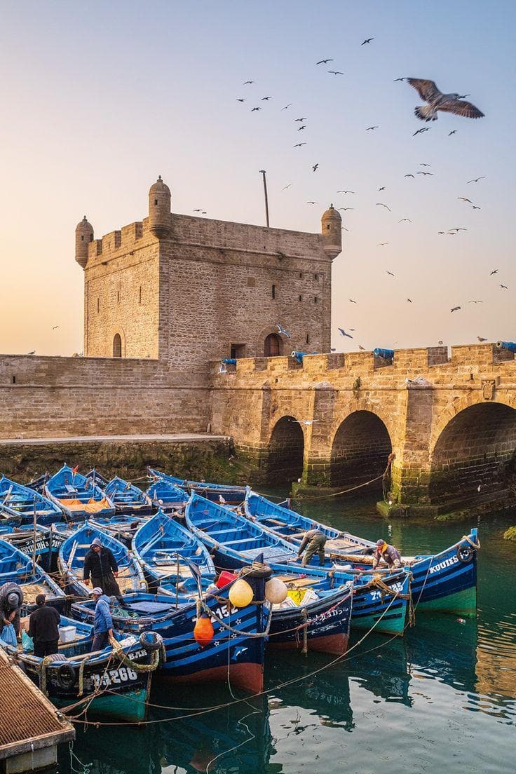 Fishing boats in the port of Essaouira