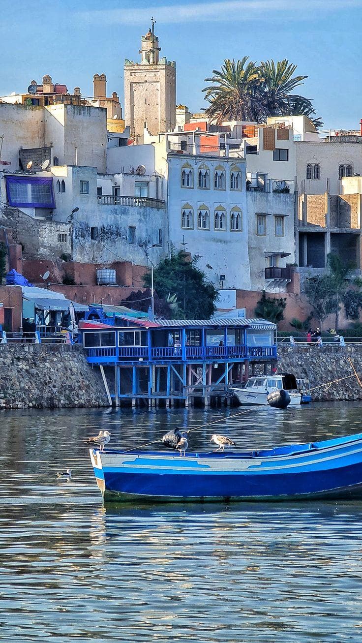 Blue fishing boats in Essaouira harbor