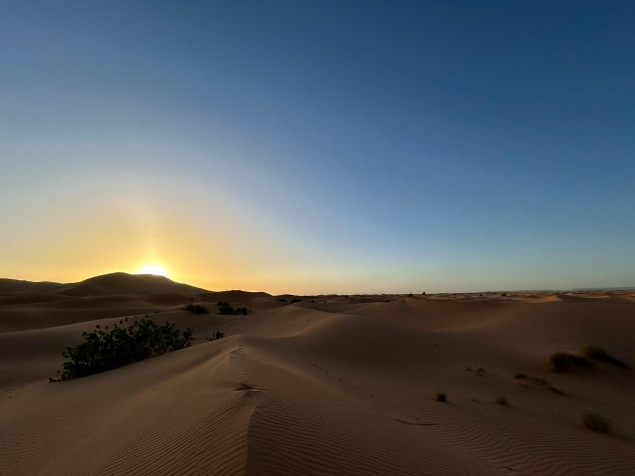 Sunset over the Sahara dunes