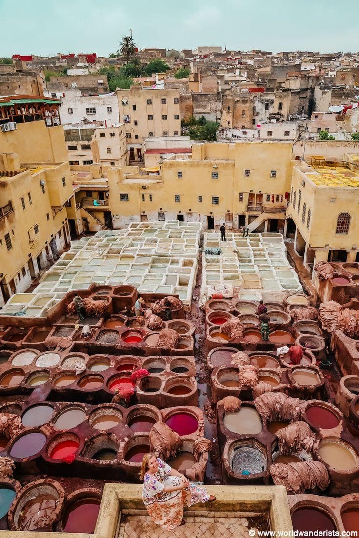 Chouara tannery in Fez